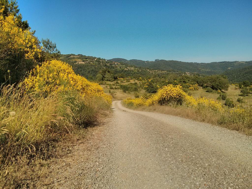 Forte Di Tregognano Chiaveretto Kamer foto